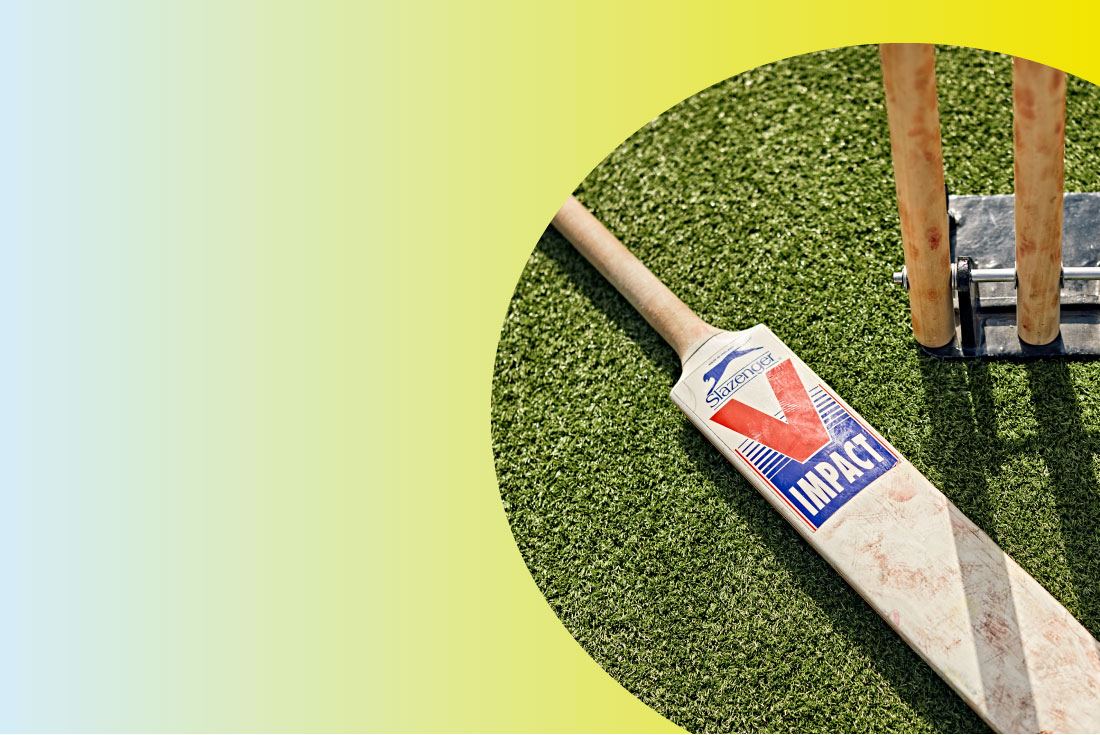 Cricket bat and wicket