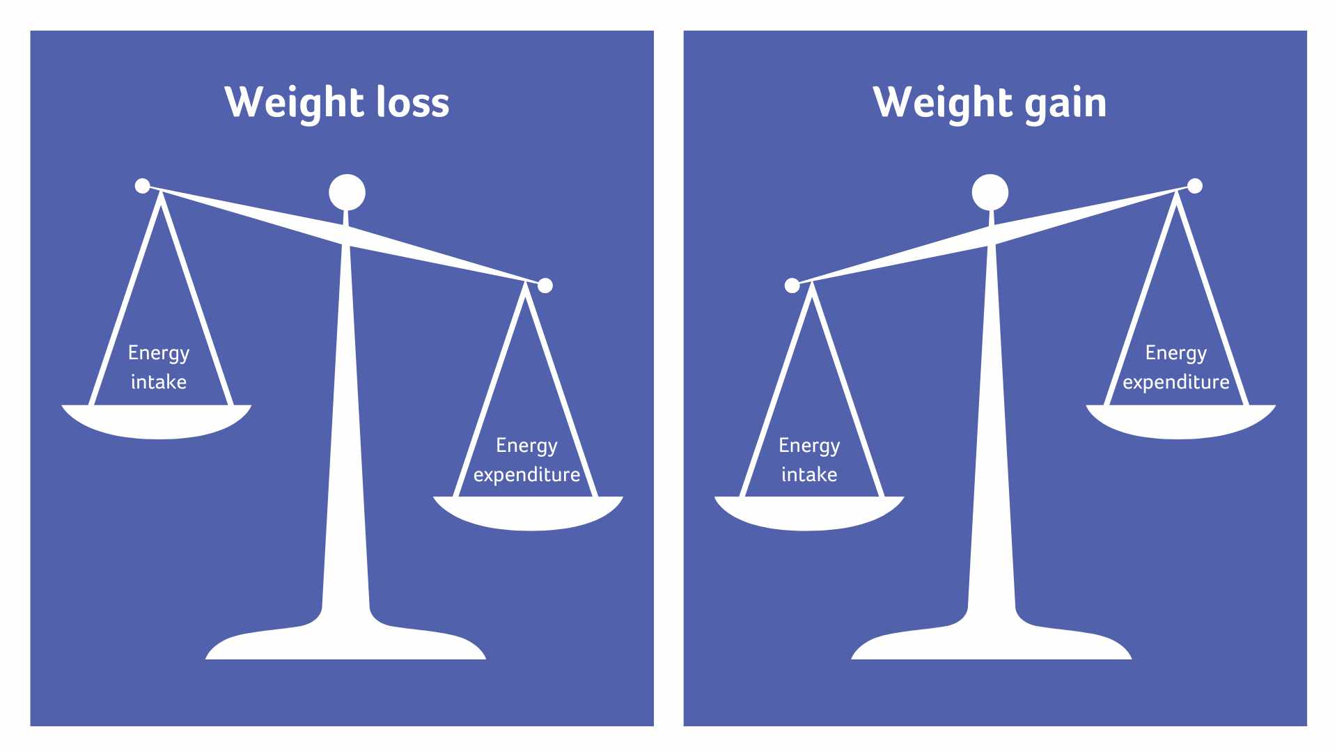 A set of scales with energy expenditure more than energy intake showing weight loss, next to a set of scales with energy intake more than energy expenditure showing weight gain